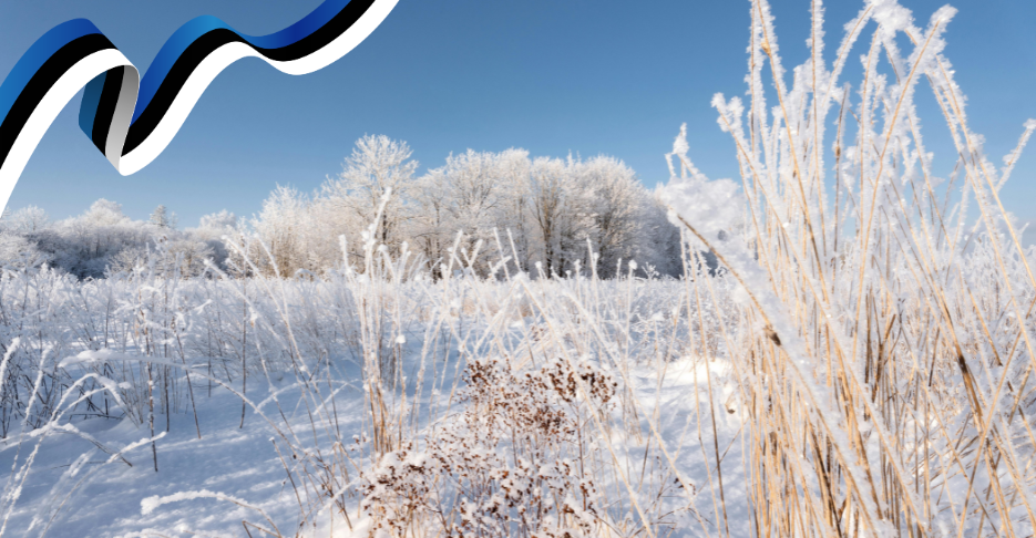 Lahtiolekuajad pühadel